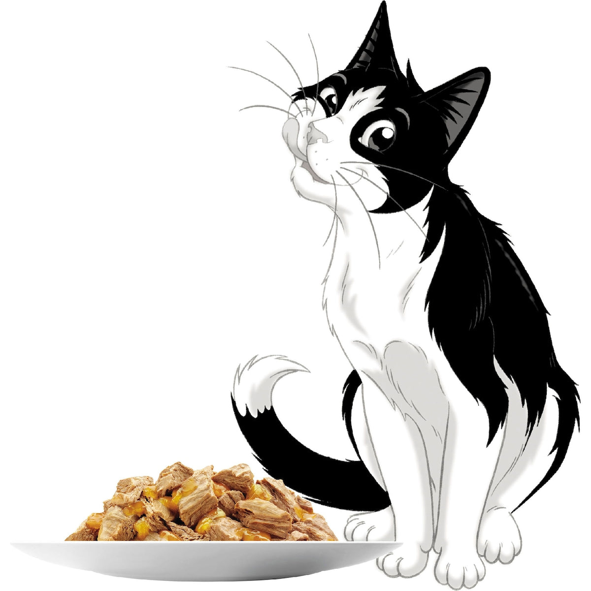 Felix As Good As It Looks Kitten Menus Jelly Wet Cat Food 85g X 12 Pack