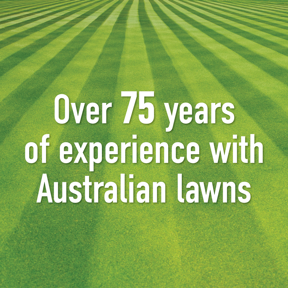 Munns Professional Winter Grass Killer - 2.4L Liquid - Hose-On - 240m²