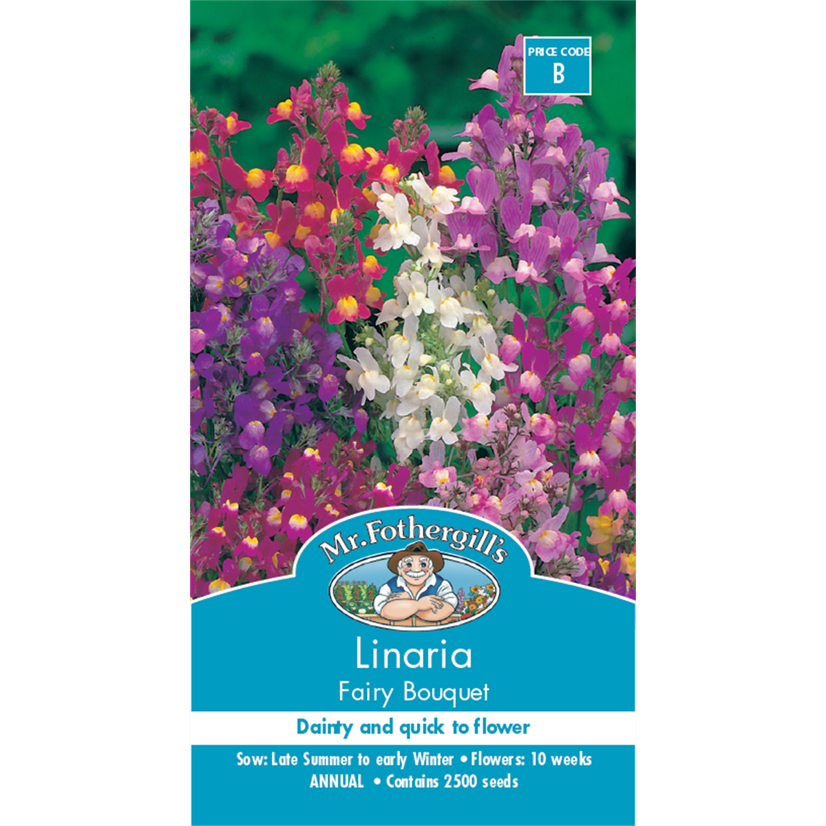 Mr Fothergill Linaria Flower Seeds - 20cm - Hardy Annual - Colourful Blooms