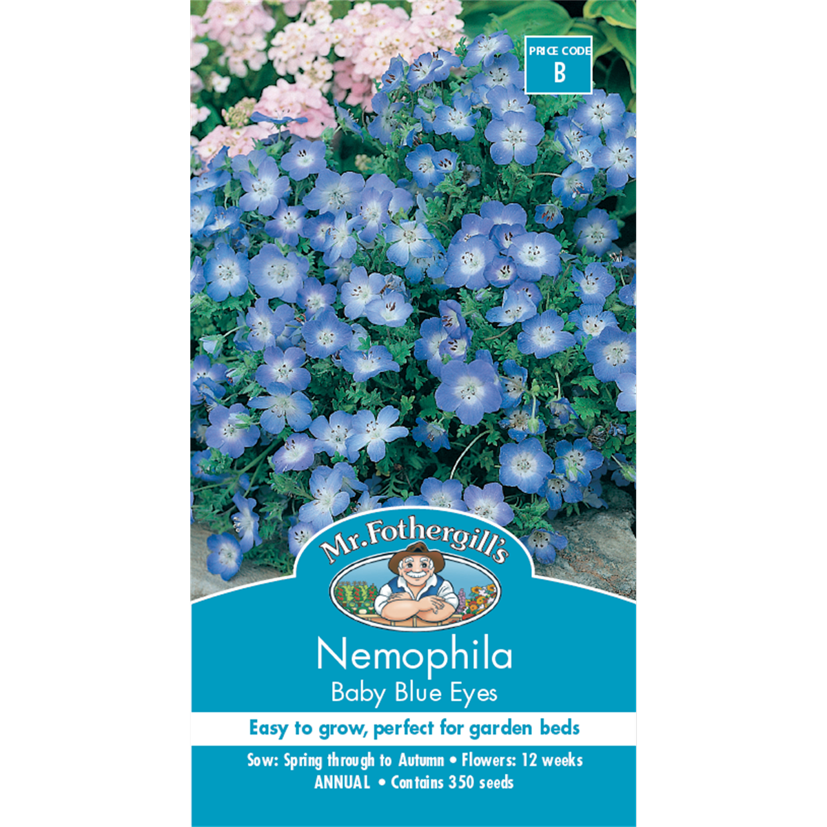 Mr Fothergill Nemophila Baby Blue Eyes Seeds 75mm Easy Grow Annual