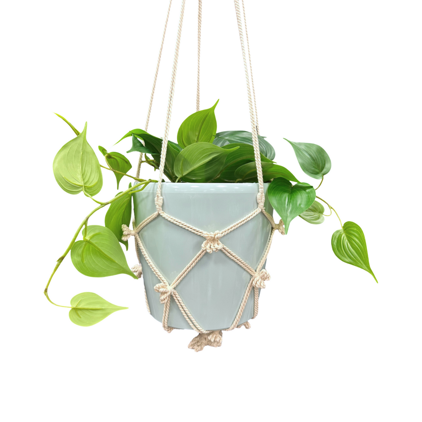 Eden Cotton Macrame Hanger - 110cm
