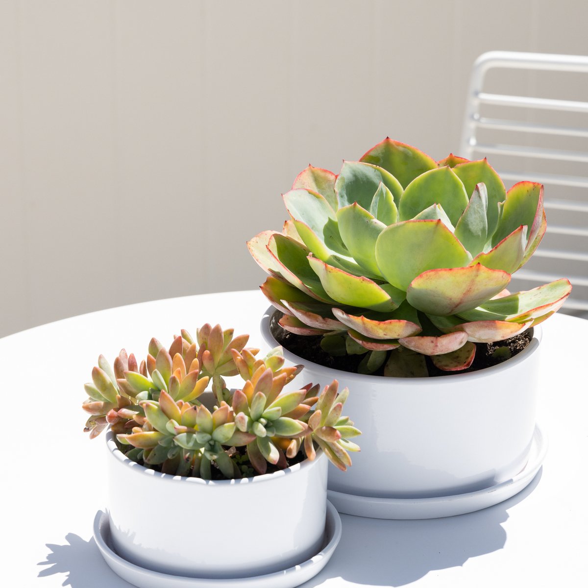 Northcote Pottery 20cm White Ava Succulent Pot with Saucer - 3L