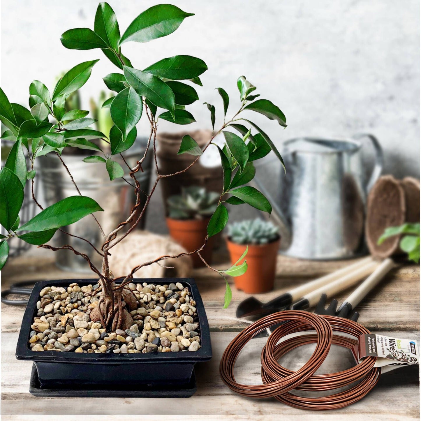 Jack Bonsai Wire - 1.5,2,4mm - 3 Pack