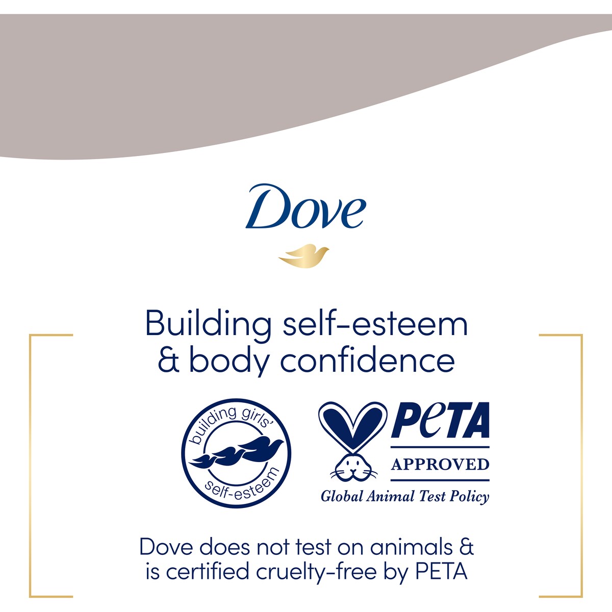 Dove Antiperspirant Deodorant Powder 48h 250 Ml
