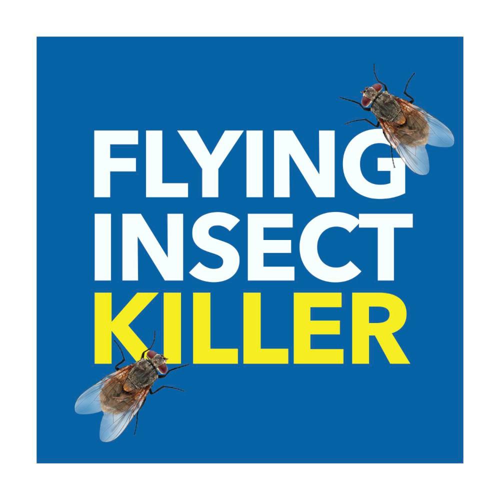 Raid Pest Odourless Flying Insect Spray Killer - 350g