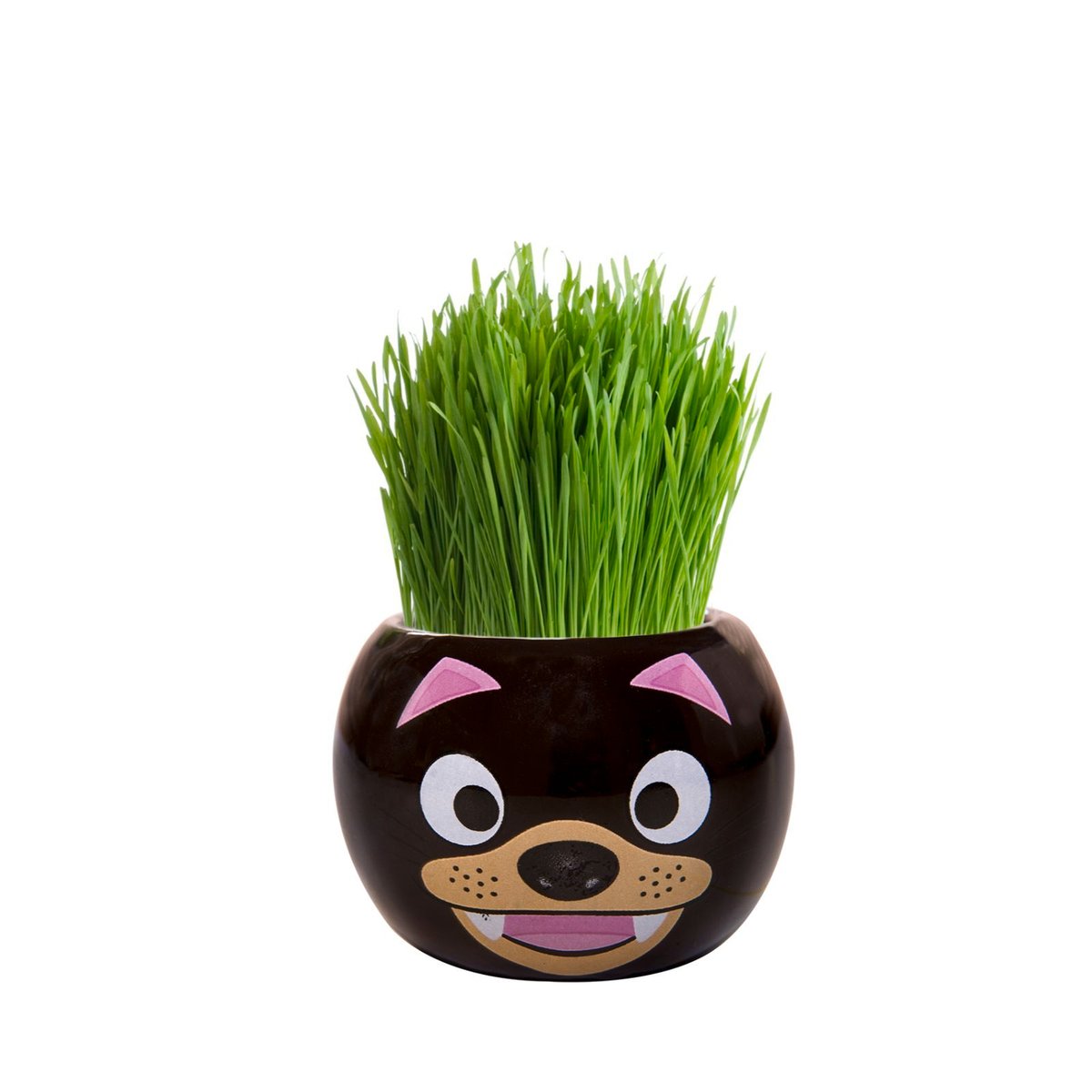 Mr Fothergill Grass Hair Kit - 60mm - Ryegrass - Fun Kids Activity