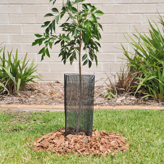 Jack Tree Tube - Protect Plants From Damage - Dia 400 x 144mm - 3 Pack