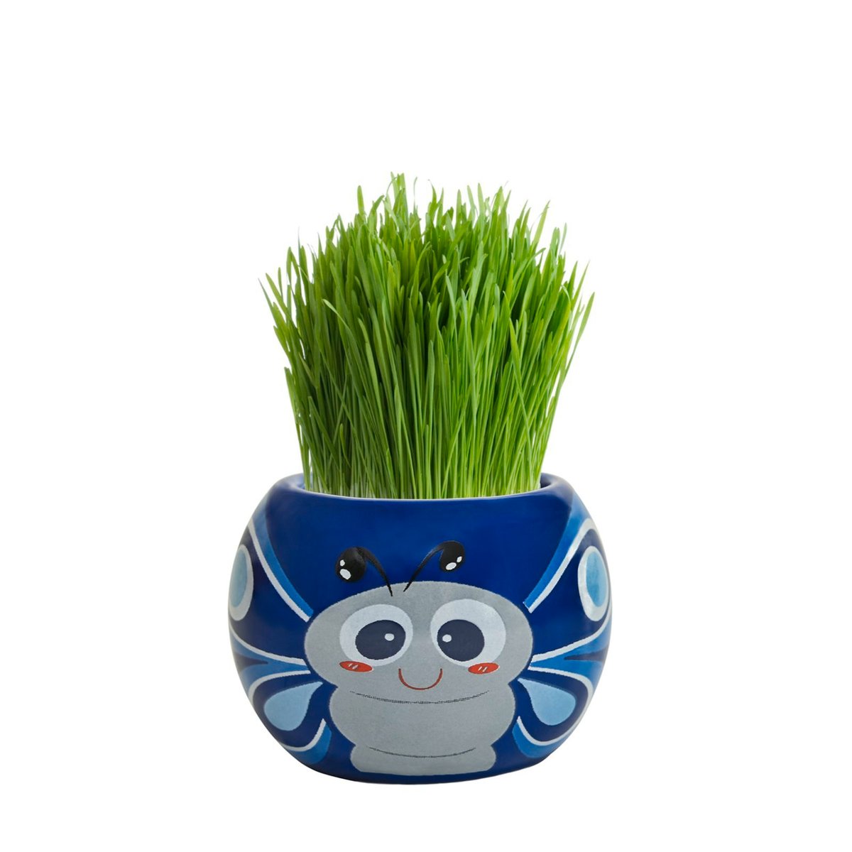Mr Fothergill Grass Hair Butterfly Grow Kit - 1 Animal Pot - 60mm x 60mm