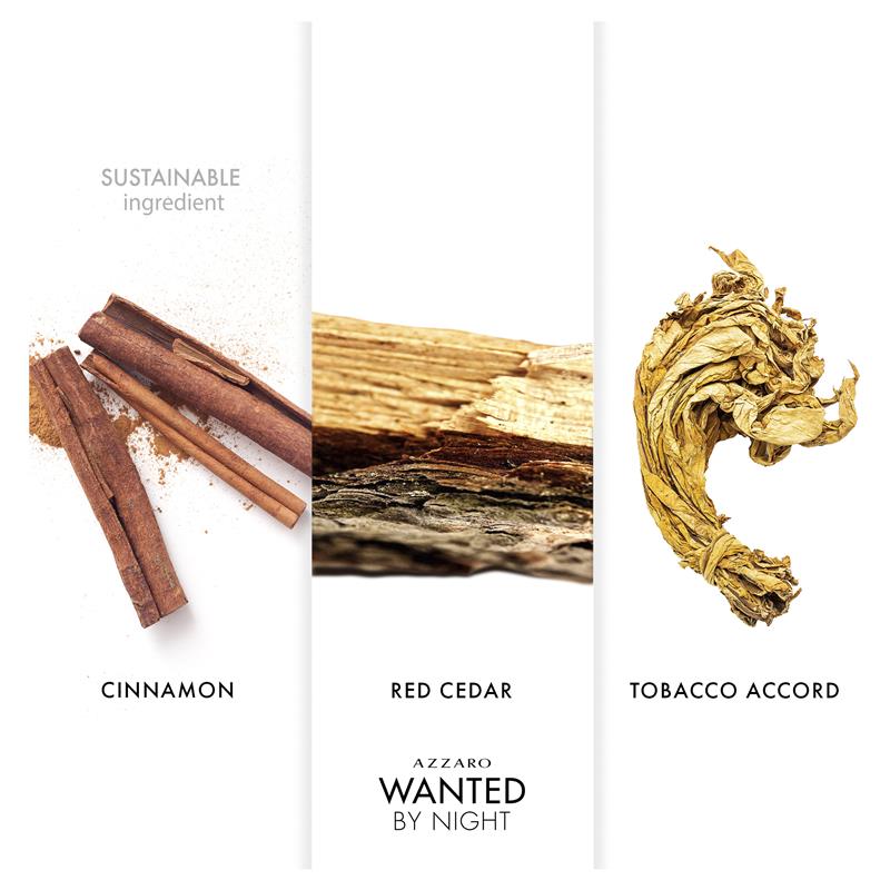 Azzaro Wanted By Night Eau de Parfum 100ml - A Fragrance for the Bold