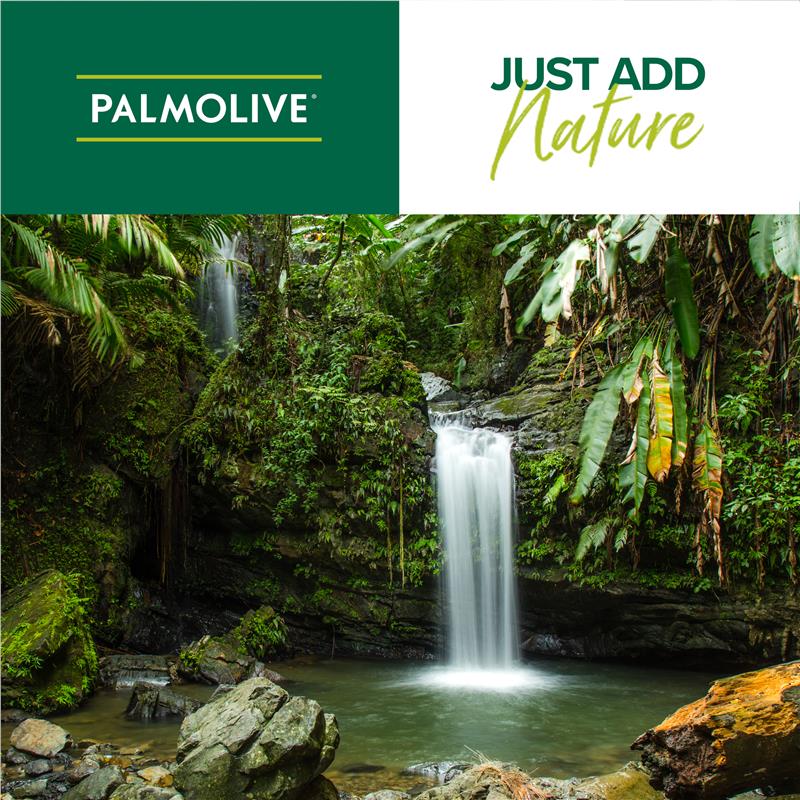 Palmolive Anti-dandruff 2 in 1 Shampoo & Conditioner 350ml