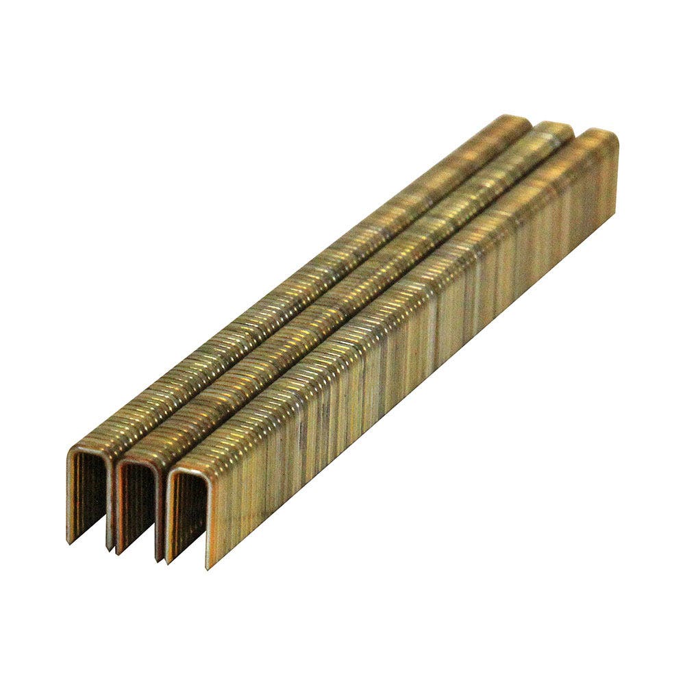 AIRCO 6000 Series Staples Electro Galvanised - 12mm Box of 5000 SM60120