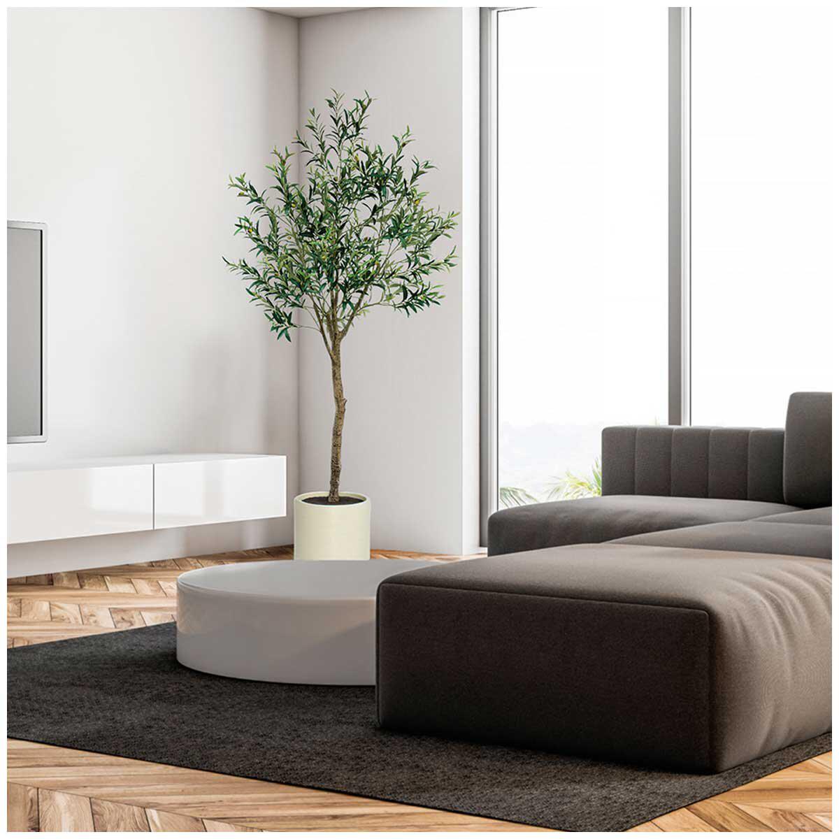 CGH Artificial Olive Tree 2M