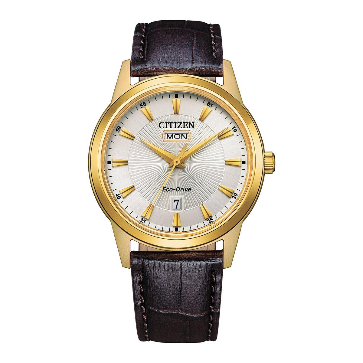 Citizen Men's Eco-Drive Stainless Steel Dress Watch
