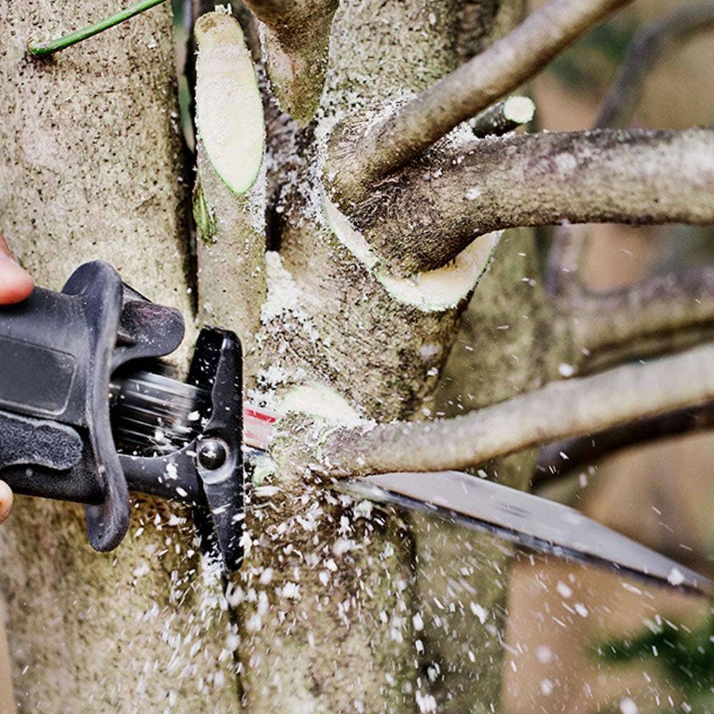 DIABLO 229mm Fleam Ground Recip Blade for Pruning 2610052326
