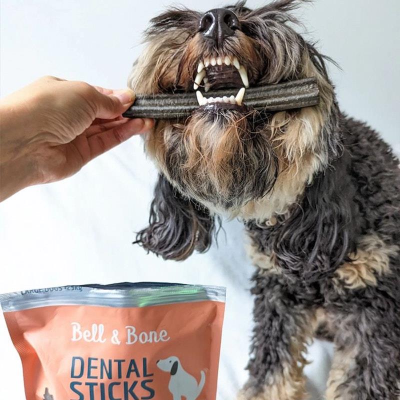 Bell & Bone Medium Dental Sticks with Salmon, Mint & Charcoal