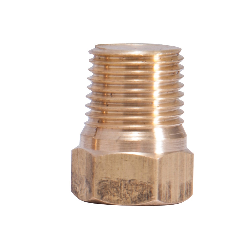 SONSBEEK Brass Hex Plug 1 4inch 2PK BL64HP04B
