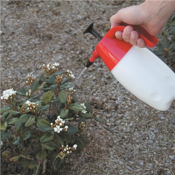TOLEDO 2L Pump Action Pressure Sprayer 305154