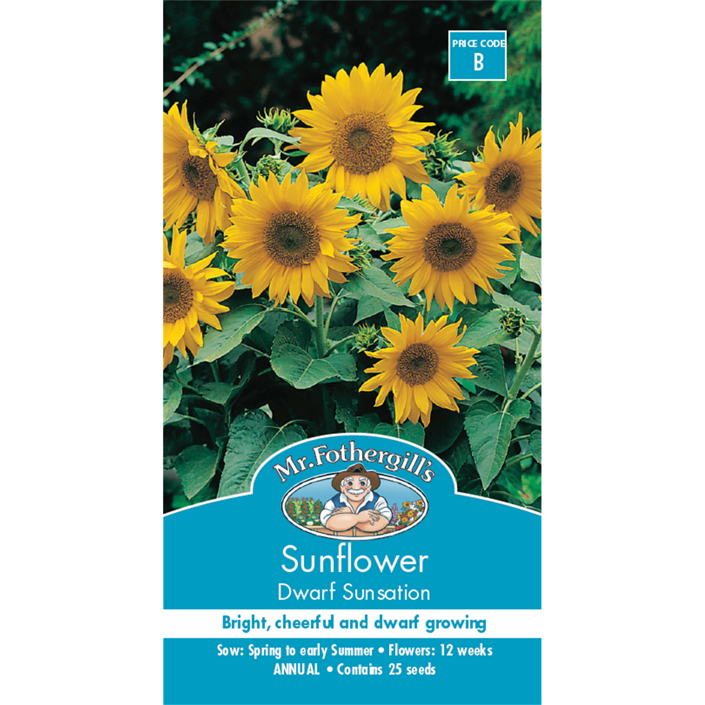 Mr Fothergill Sunflower Dwarf Sunsation Seeds