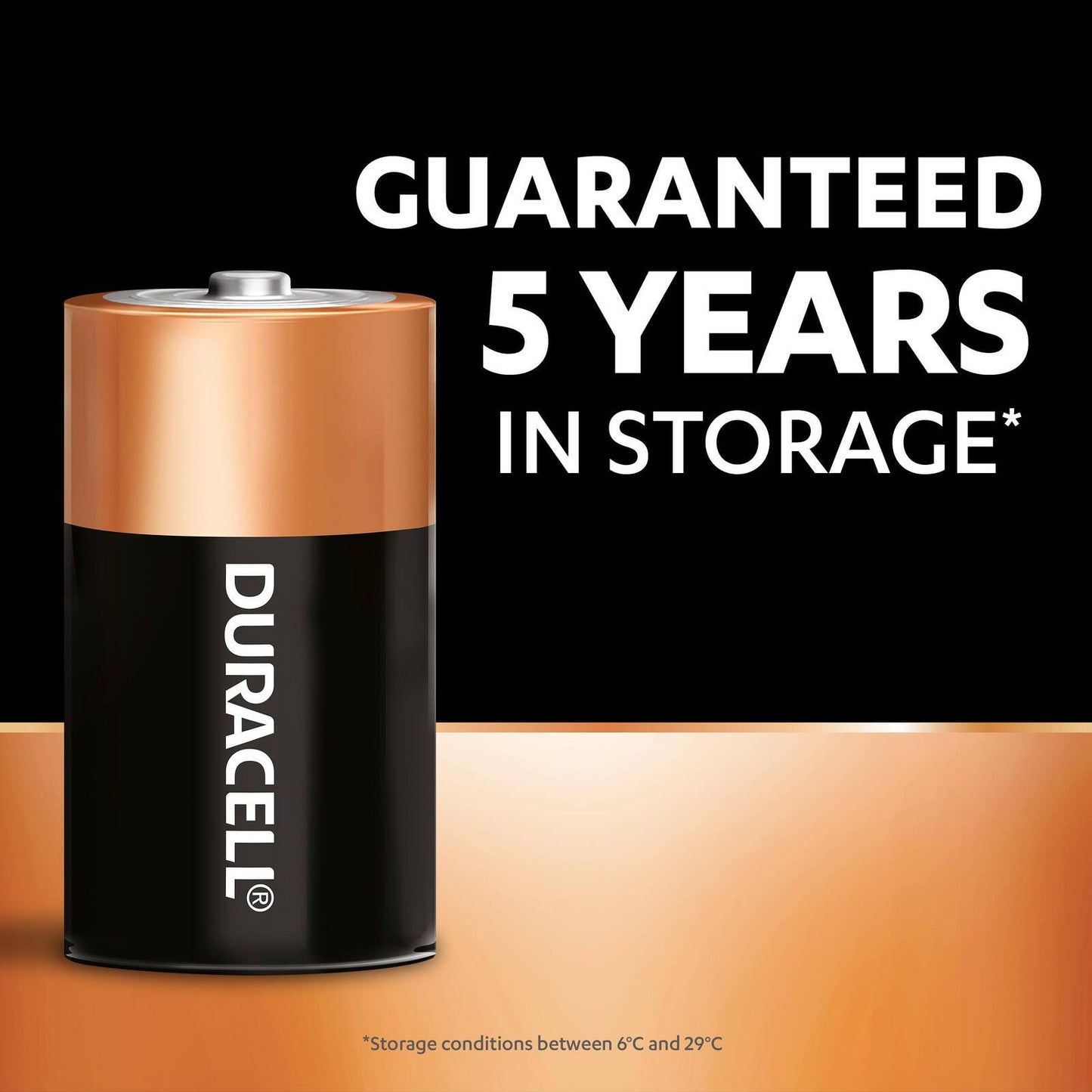 Duracell Coppertop D Batteries - 10 Pack
