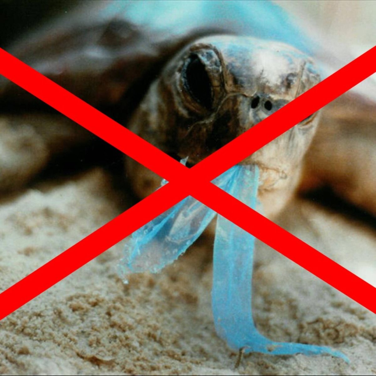 Maze Organic Rubbish Bags - 27L - Starch Based - Plastic Free