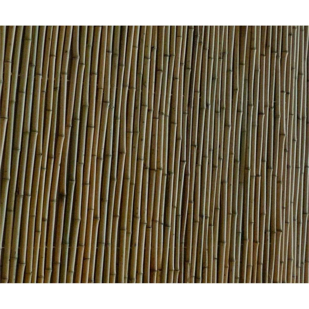 Eden Premium Screening - 1.8 x 1.5m - Bamboo - Privacy - Shelter