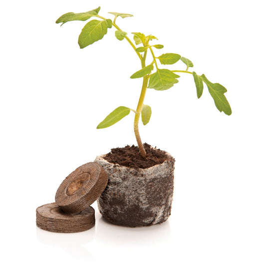 Mr Fothergill Jiffy Peat Pellets - 36mm - 36 Pack
