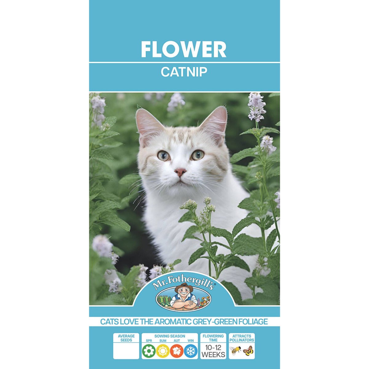 Mr Fothergill Catnip Seeds - Easy To Grow - 75mm - Fragrant Foliage