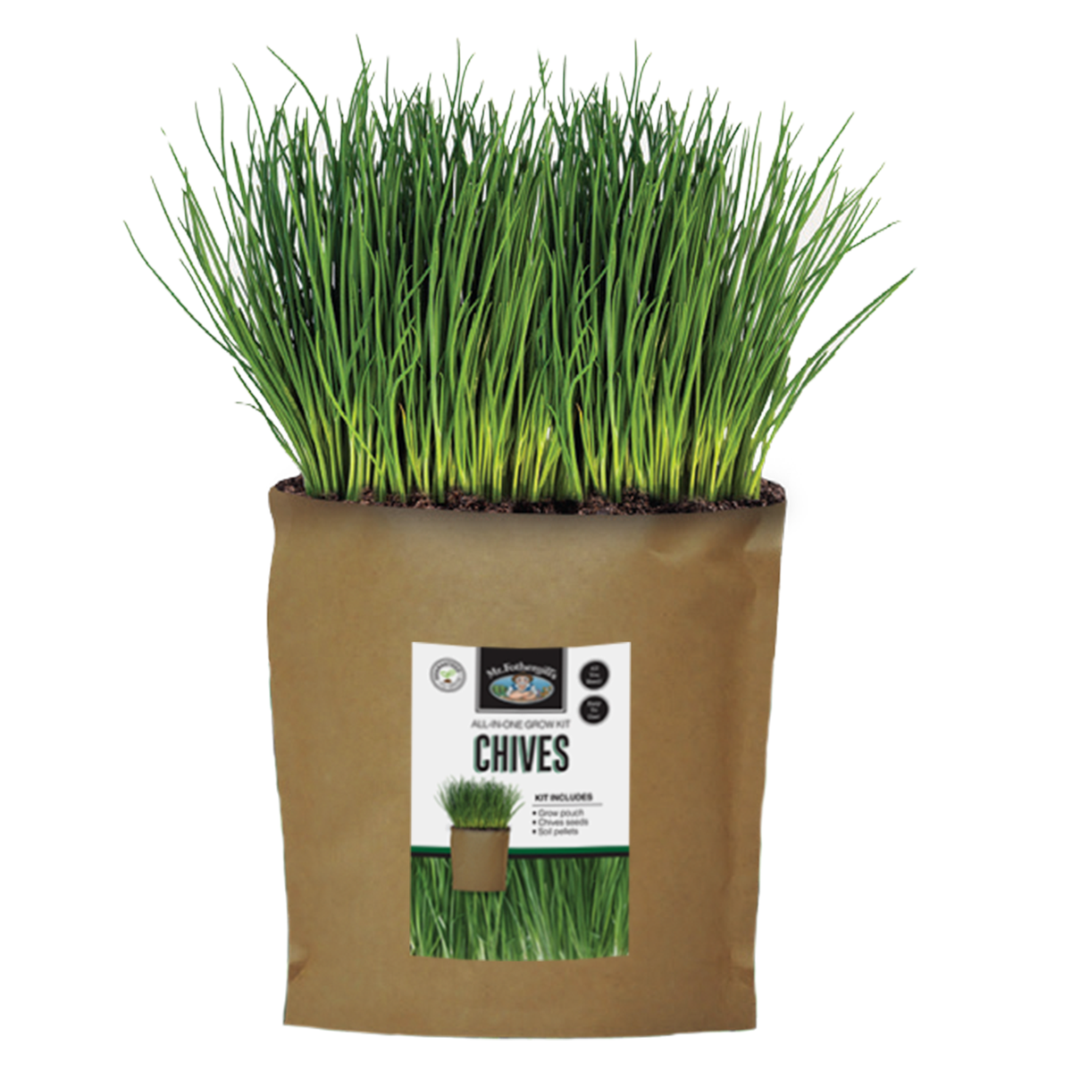 Mr Fothergill Chives Grow Pouch - 170mm x 240mm - All-in-One Kit