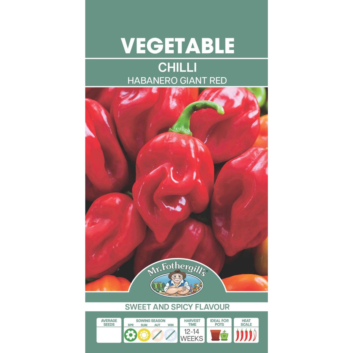 Mr Fothergill Chilli Habanero Giant Red Seeds - 30 Pack - 75mm x 145mm - Extra Hot