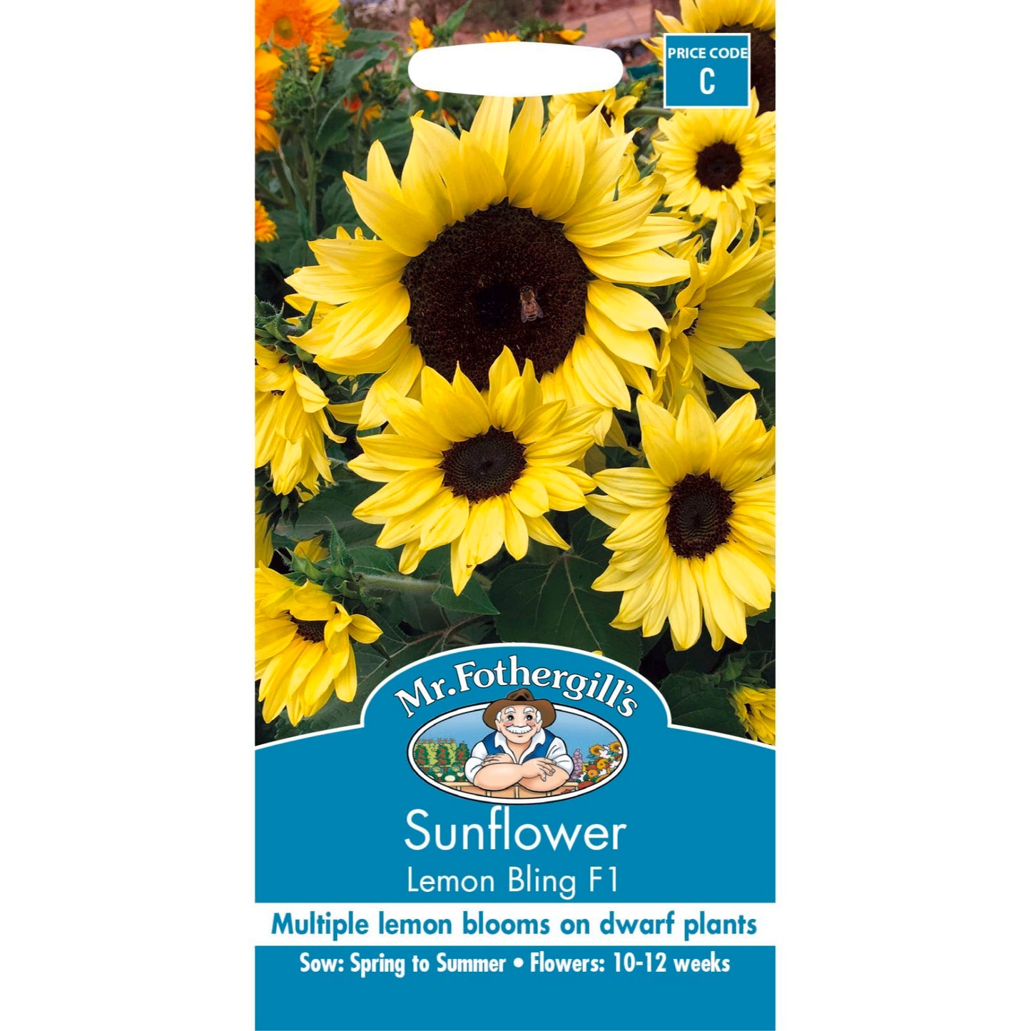 Mr Fothergill Sunflower Seeds