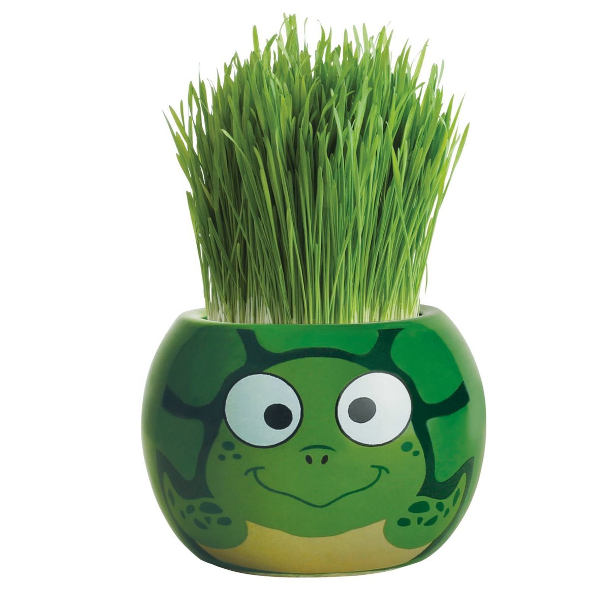 Mr Fothergill Grass Hair Turtle - 60mm - Ryegrass - Fun Indoor Kit