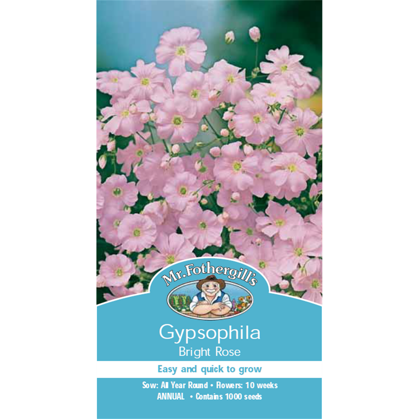 Mr Fothergill Gypsophila Flower Seeds