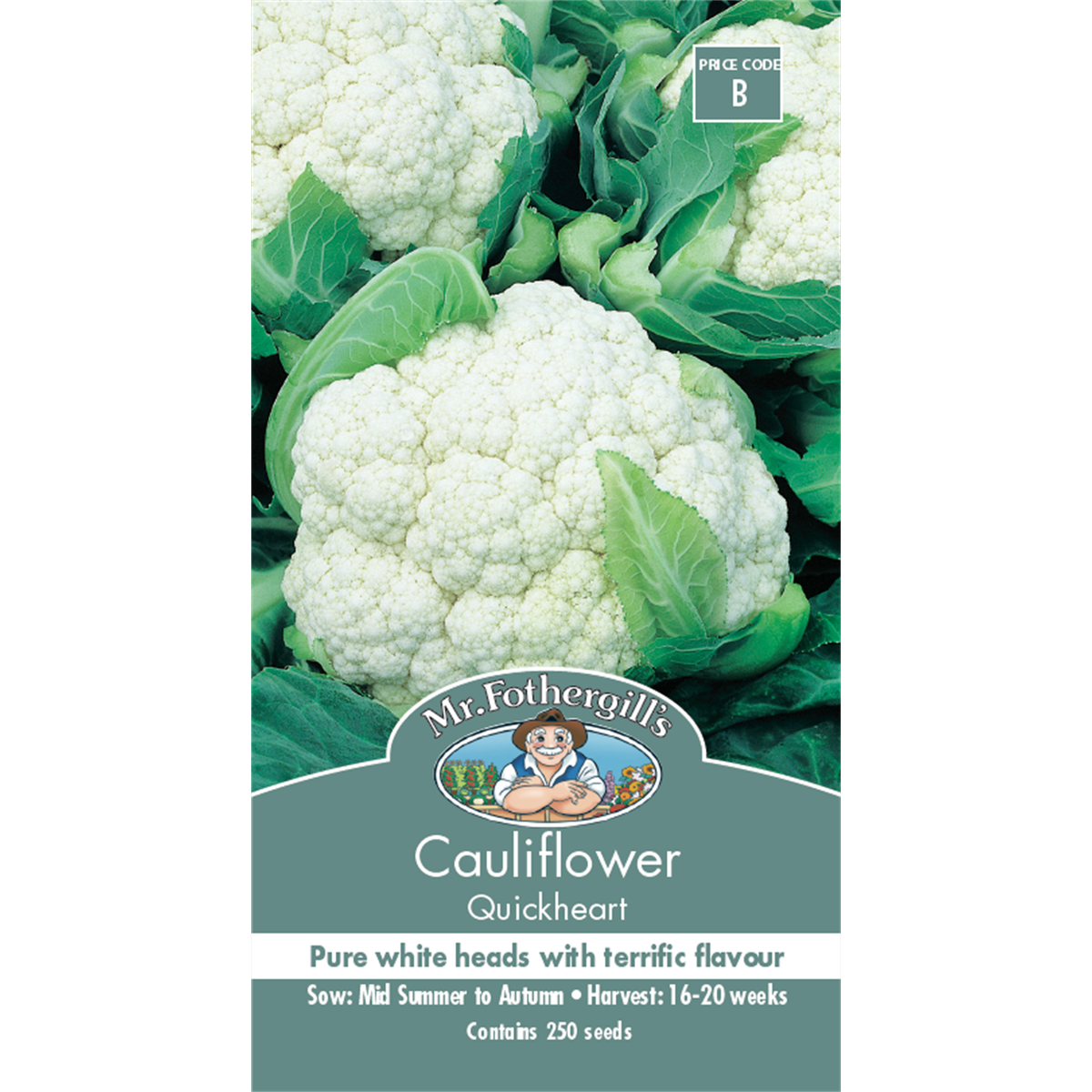 Mr Fothergill Quickheart Cauliflower Seeds 75mm White High Yield