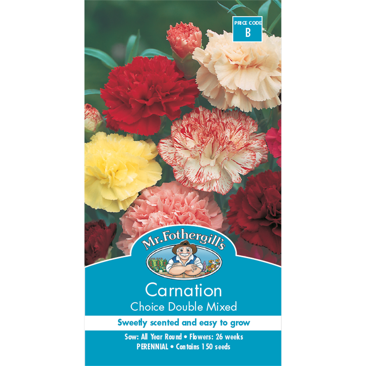 Mr Fothergill Carnation Seeds - 150 Pack - Assorted Colours - Sweetly Scented
