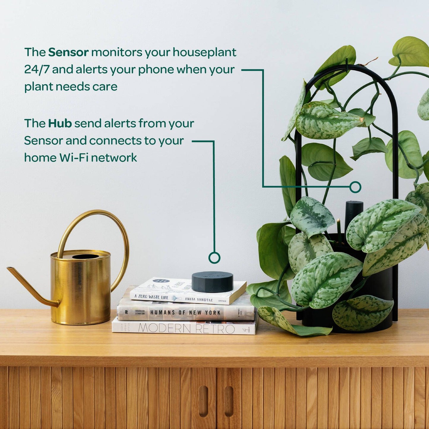 Willow Smart Indoor Plant Sensor - Charcoal