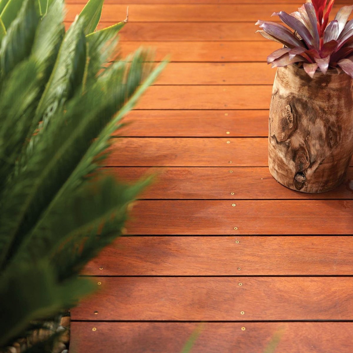 Feast Watson Wet Look Decking Oil 1L Water Based UV Resistant