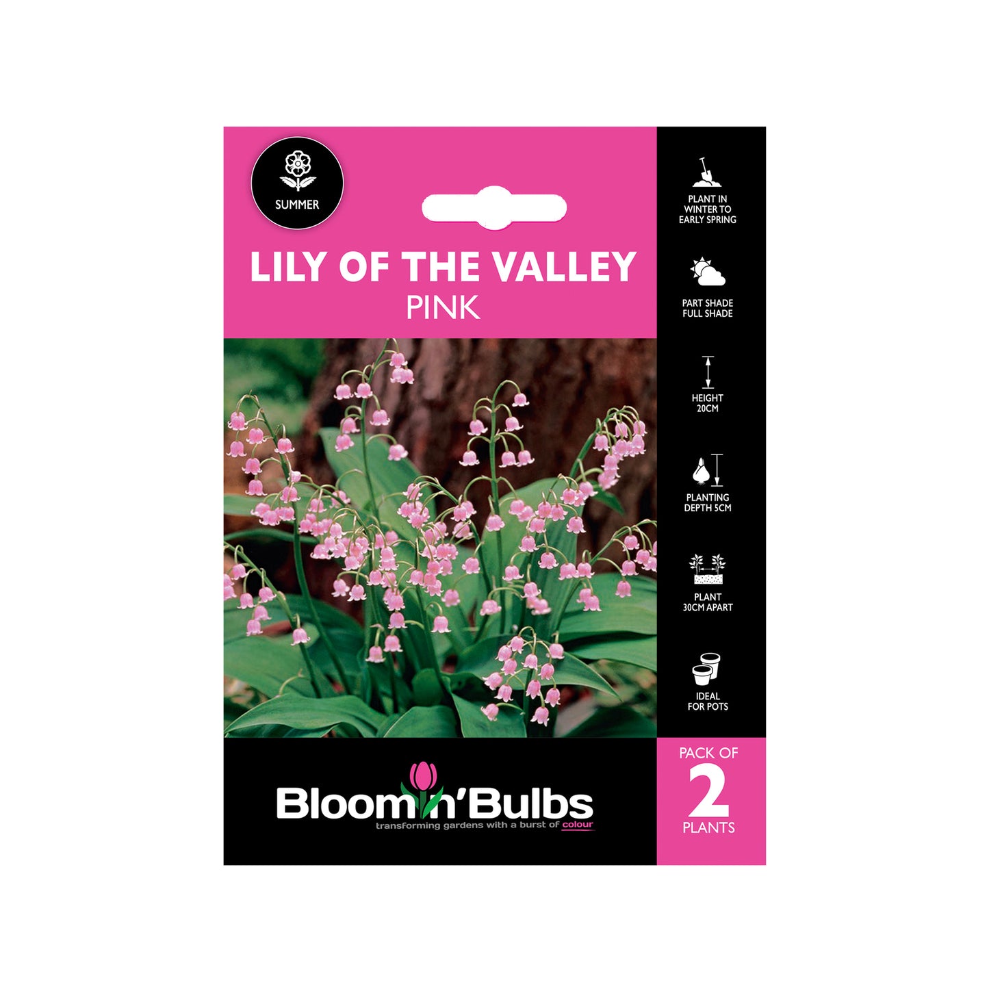Bloomin Bulbs Lily of the Valley - 2 Pack