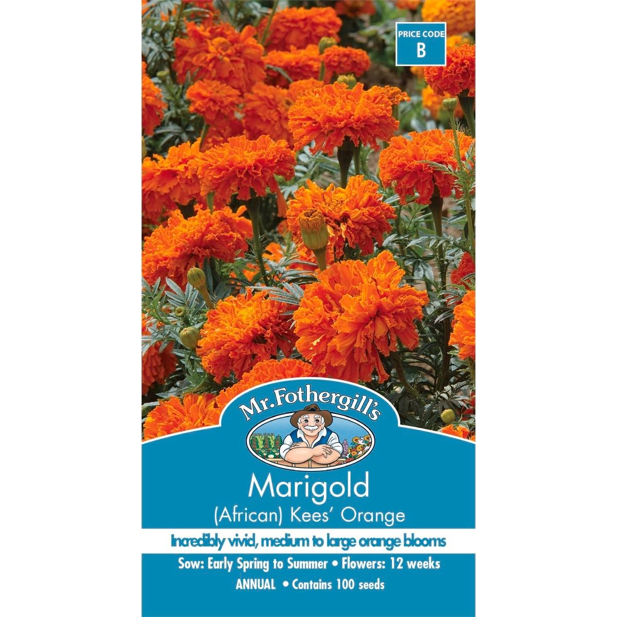 Mr Fothergill Marigold African Kees Orange Seeds 75mm Easy Grow