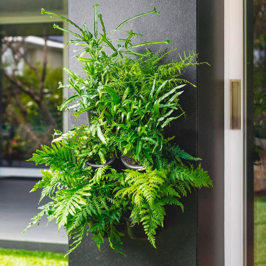 Holman Greenwall Slim Mounted Kit - 198mm x 535mm - Plastic - Outdoor Use