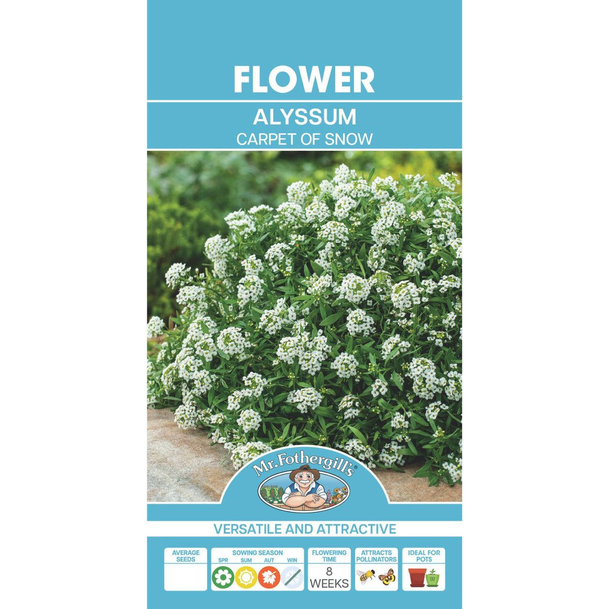 Mr Fothergill Alyssum Carpet of Snow Seeds 1000 Seeds Hardy Annual