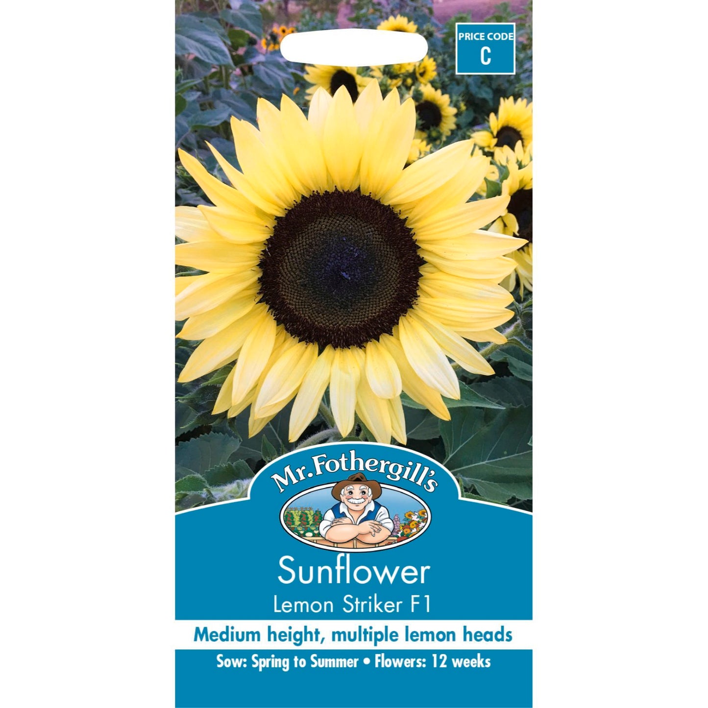 Mr Fothergill Sunflower Seeds