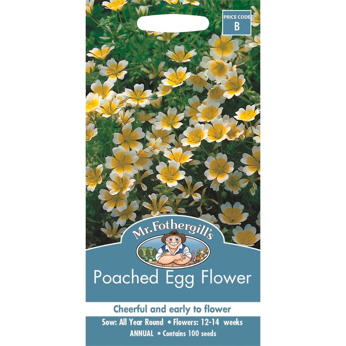 Mr Fothergill Poached Egg Flower Seeds - 75mm - Hardy - Easy To Grow