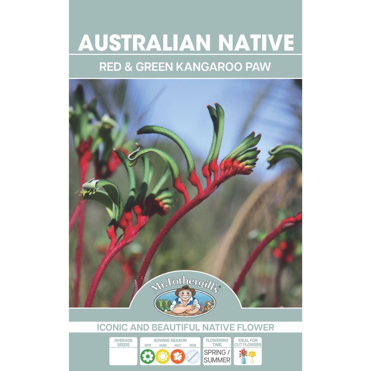 Mr Fothergill Kangaroo Paw Flower Seeds - Red Green - 100 Seeds - Hardy