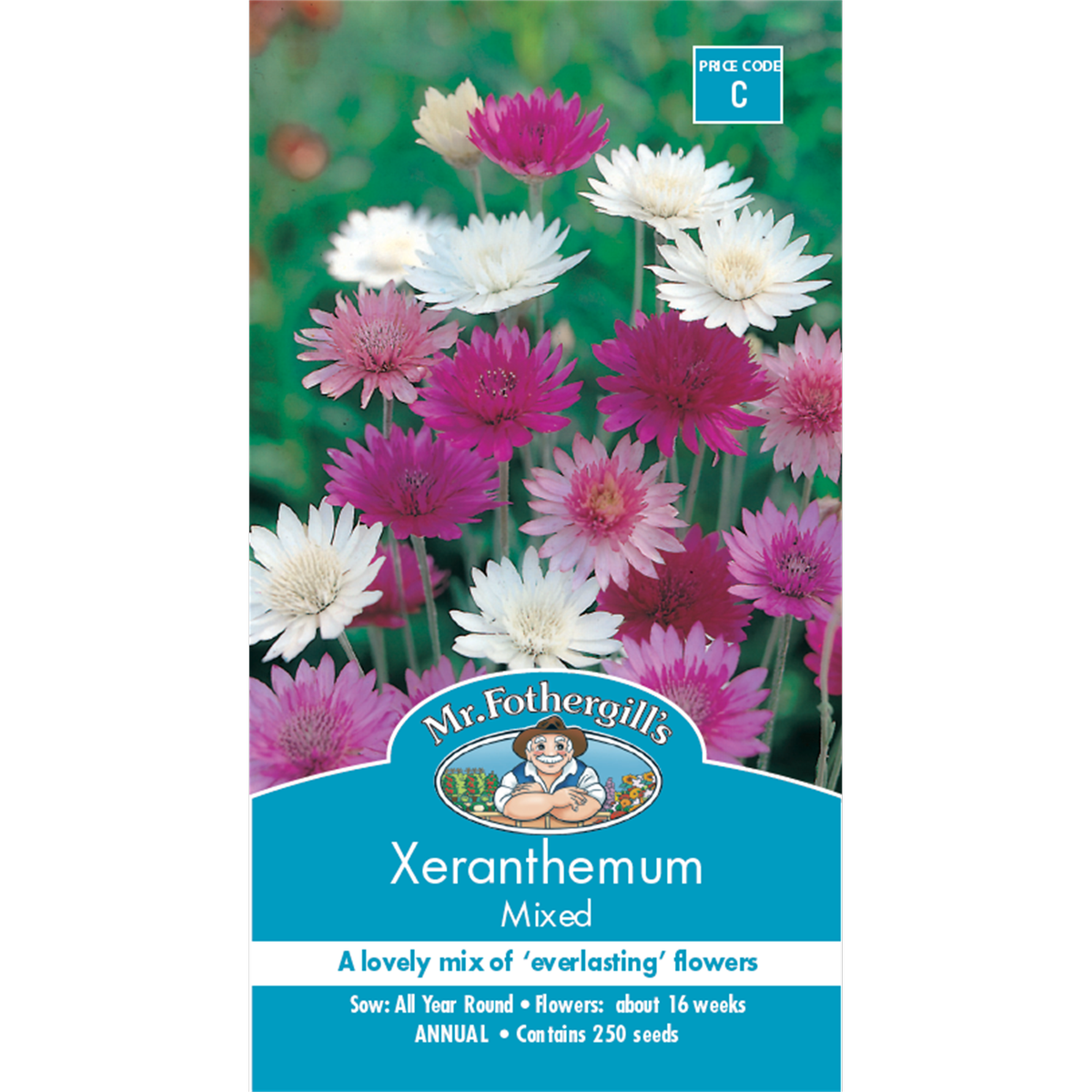Mr Fothergill Xeranthemum Flower Seed - 75cm - Hardy - Dried Flowers