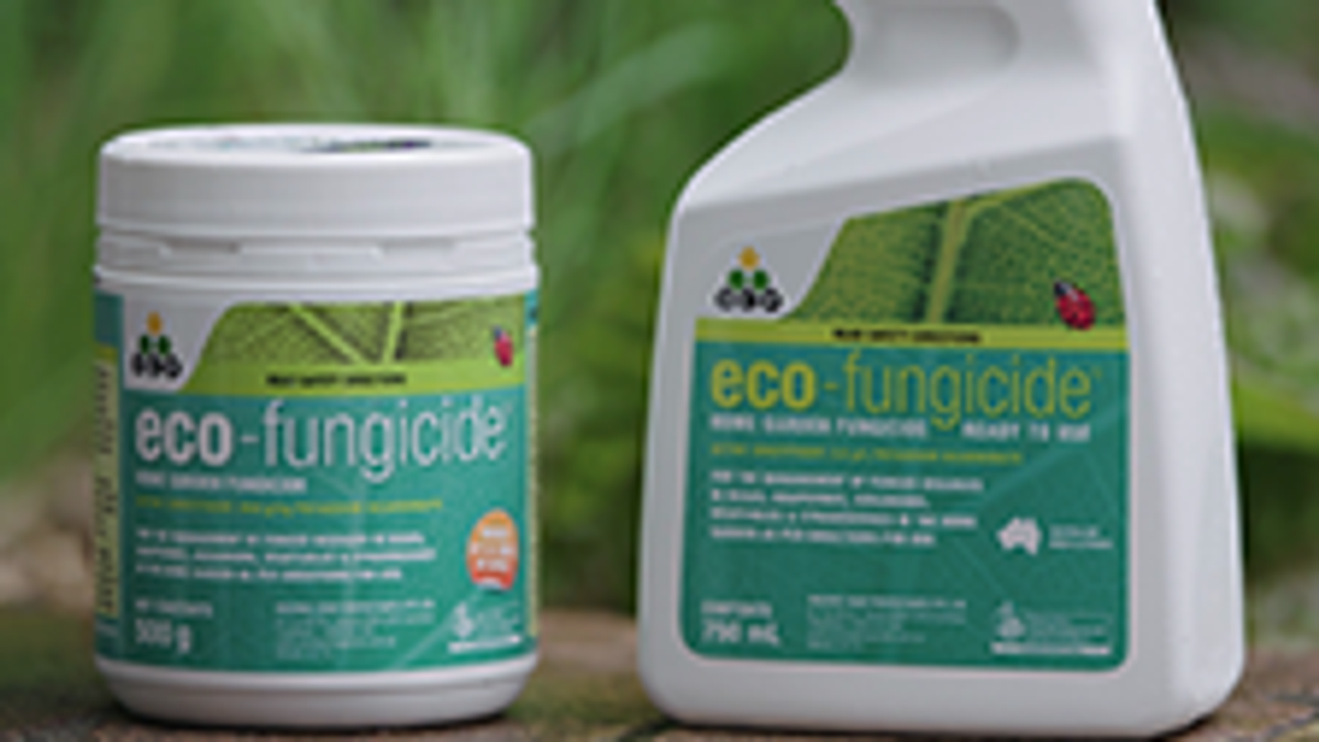 OCP Eco Fungicide - 750ml - Ready To Use - Safe For Edibles