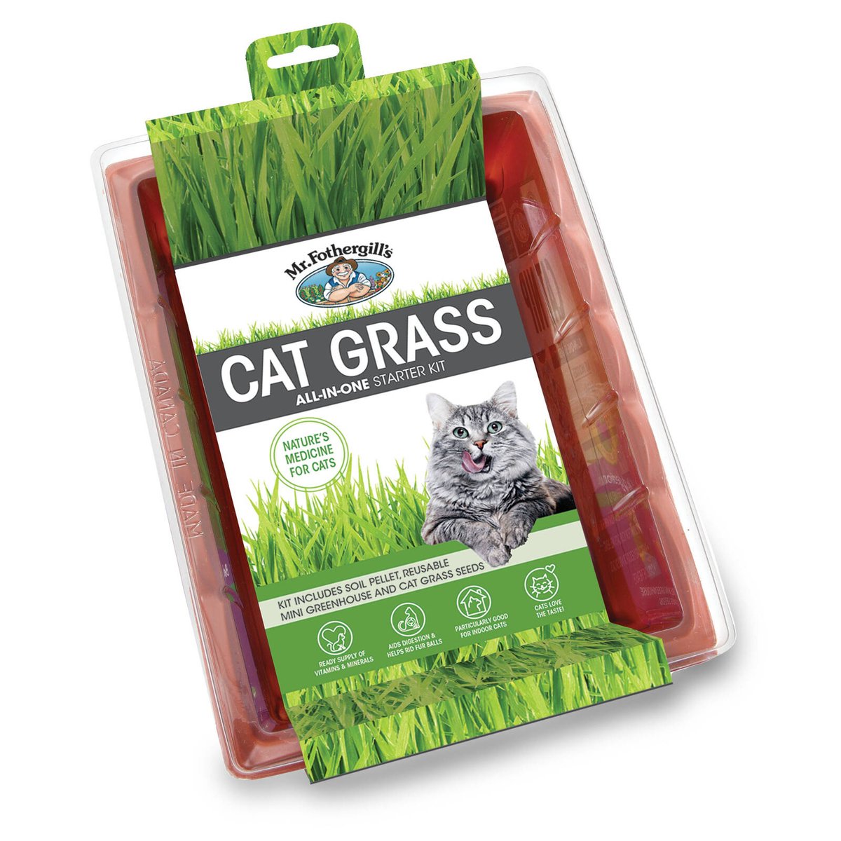 Mr Fothergill's Cat Grass Seed Raiser Kit - 160mm Greenhouse - Aid Digestion