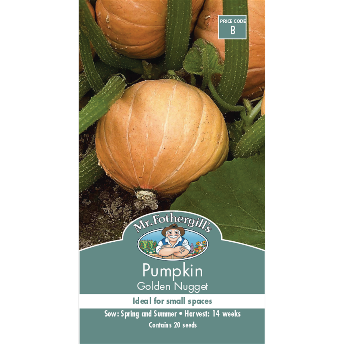 Mr Fothergill S Golden Nugget Pumpkin Seeds - Medium - Seed - Tasty