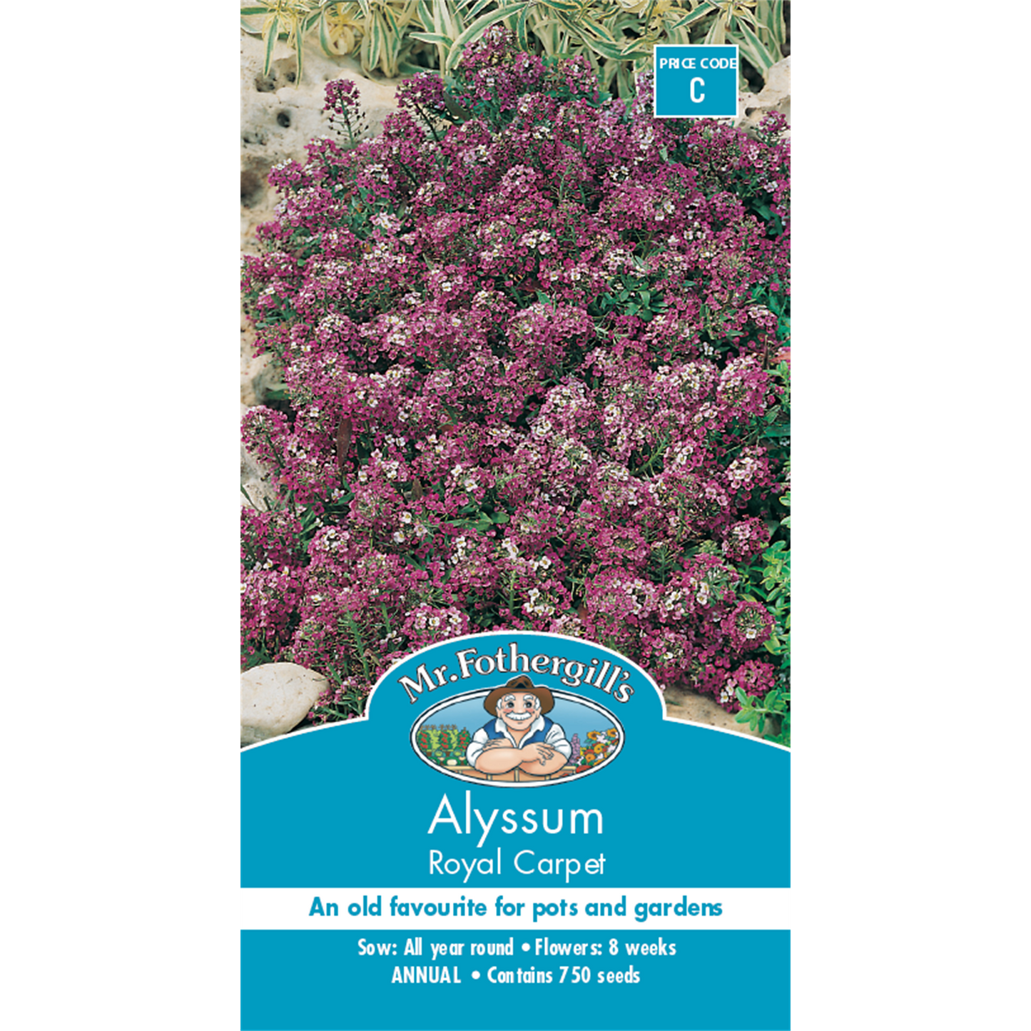 Mr Fothergill Alyssum Flower Seeds