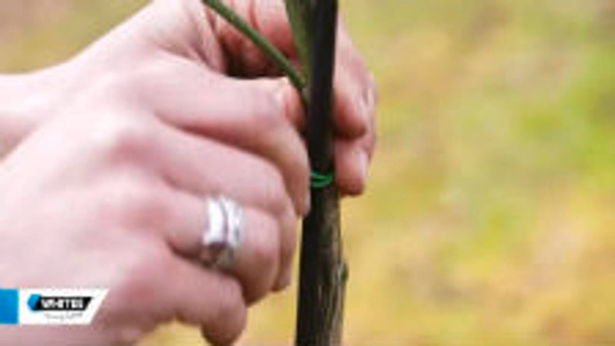 Jack Heavy Duty Twist Ties - 100m