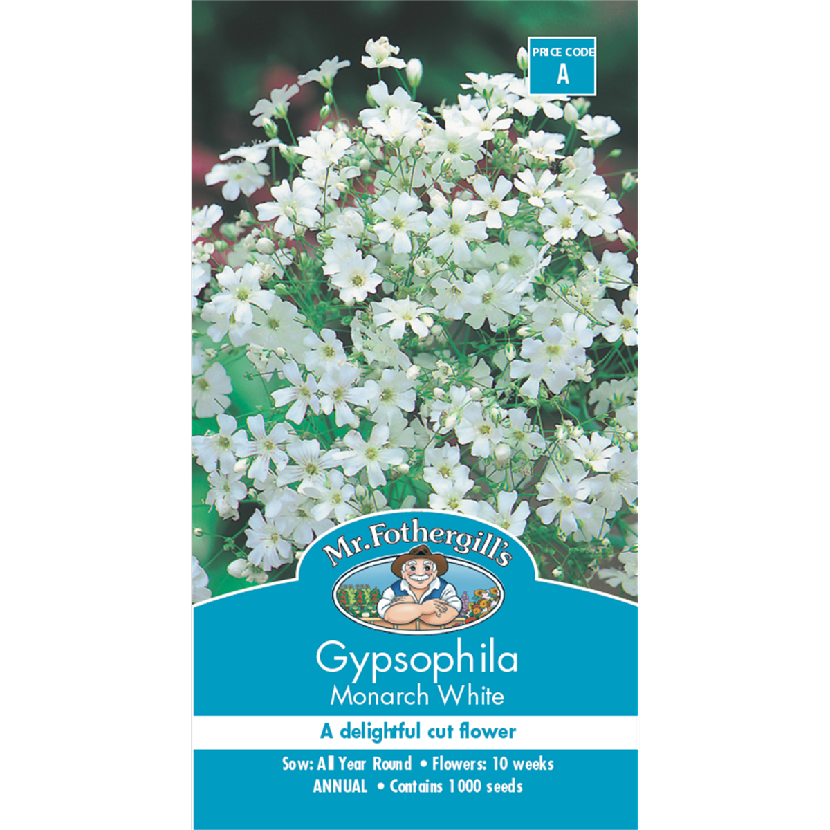 Mr Fothergill Gypsophila Seeds - 30cm - Hardy Annual - White Flowers